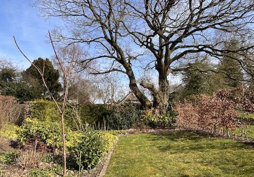 Garten