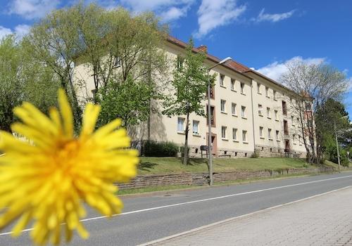 Altenburger Straße