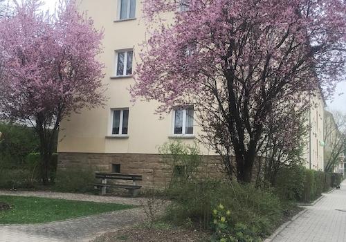 Altenburger Straße