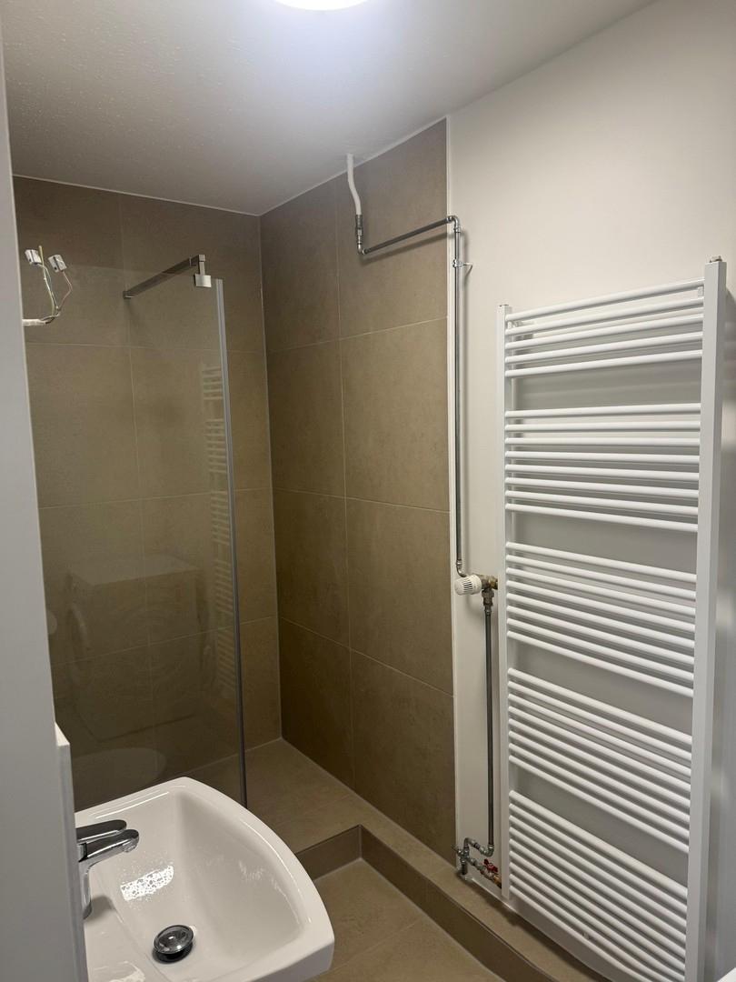Dusche und Handtuchheizkörper