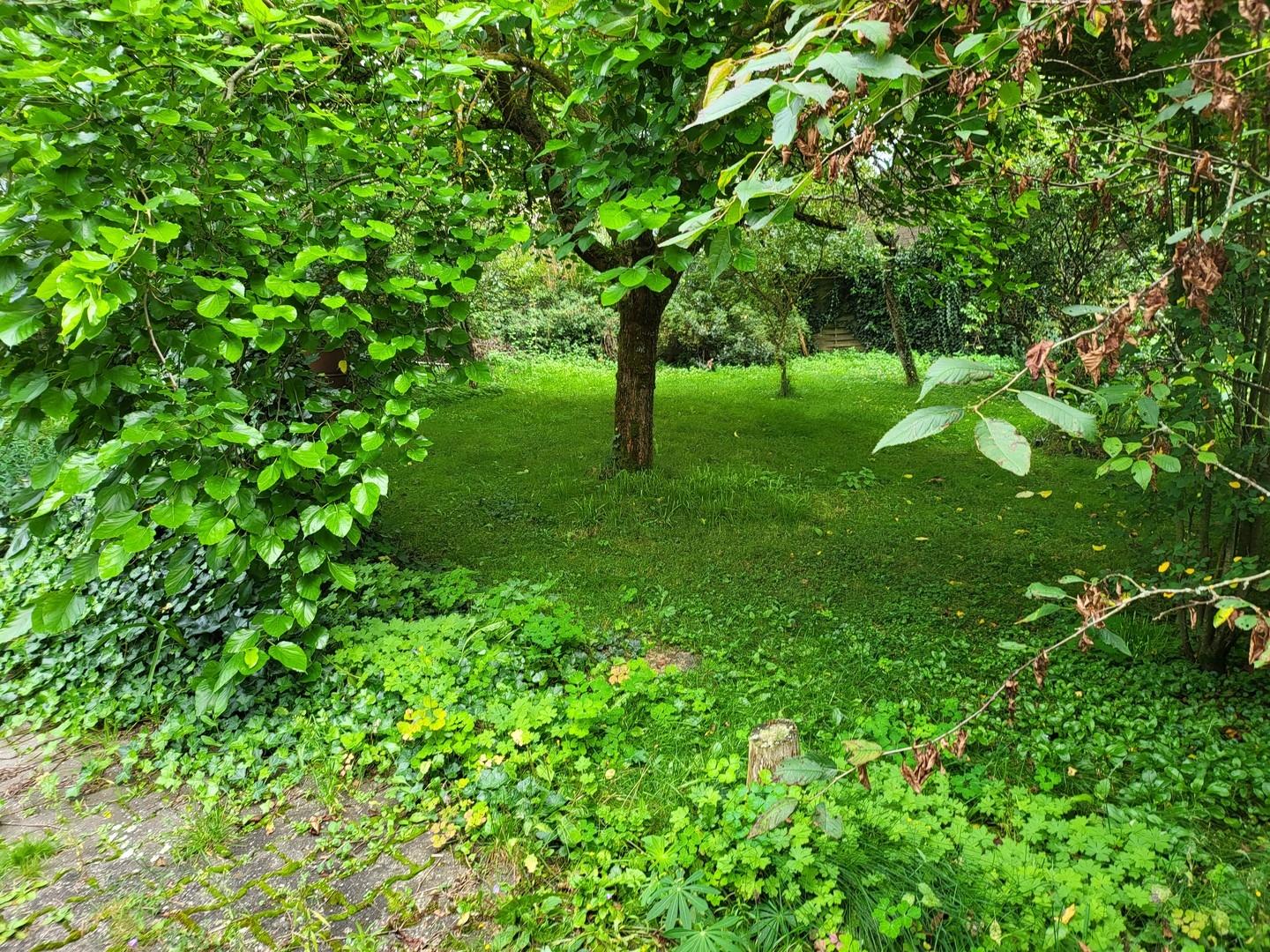 Gartenmitbenutzung