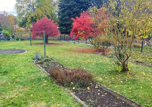 Herbsteindrücke vom Gartengrundstück