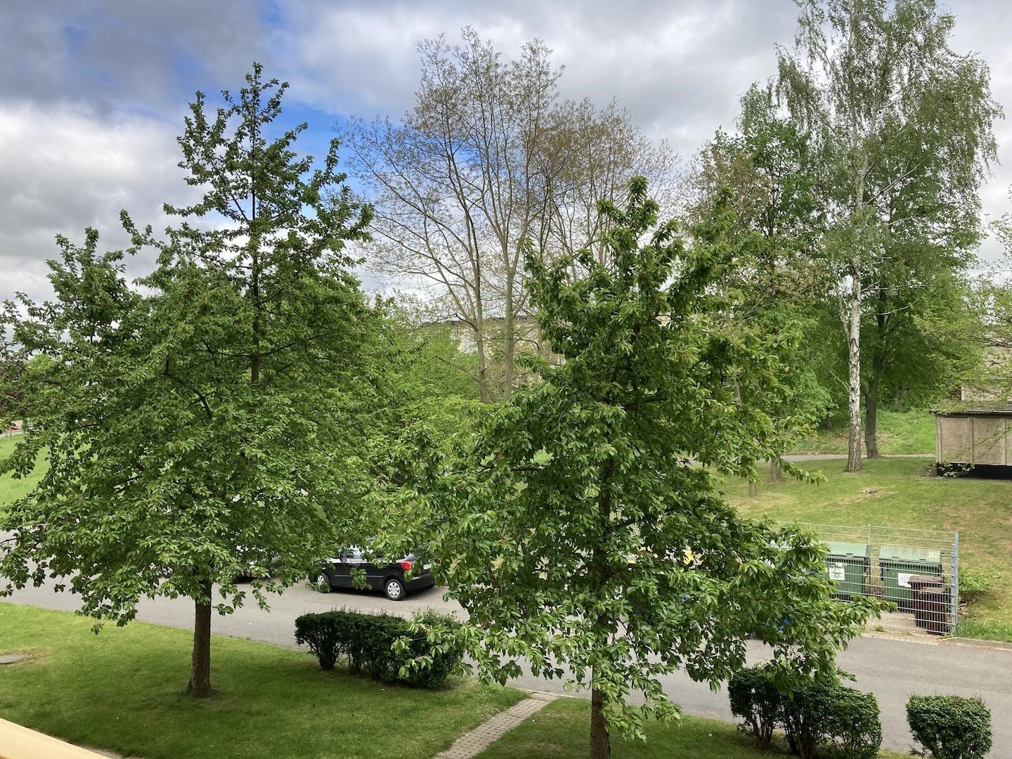 Balkonausblick