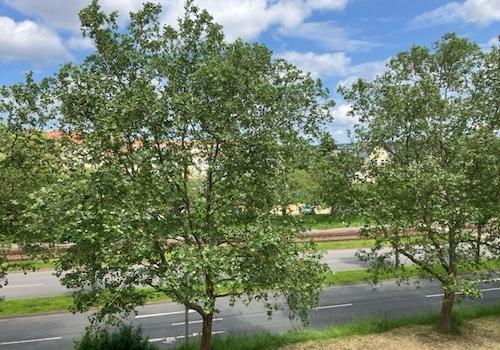 Ausblick Küche und Bad