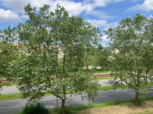 Ausblick Küche und Bad
