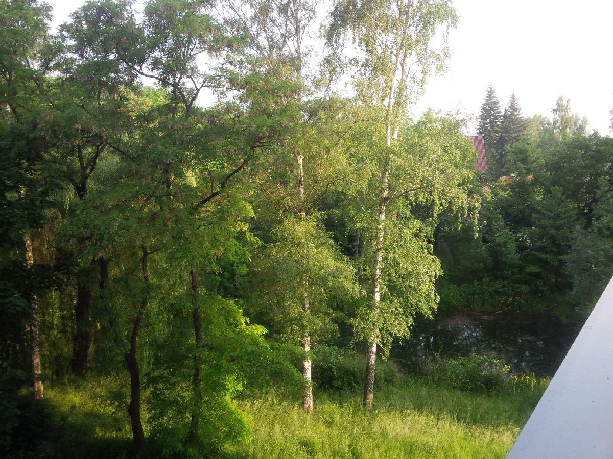Ausblick