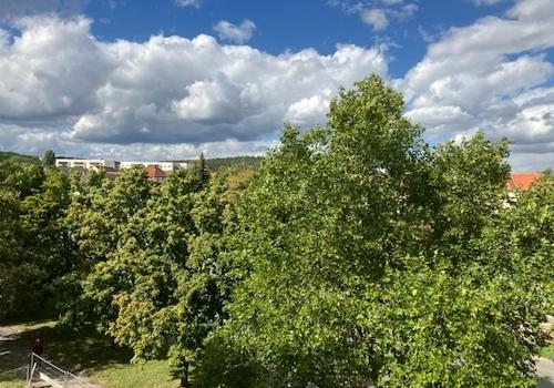 Bad, Küche und Kinderzimmer