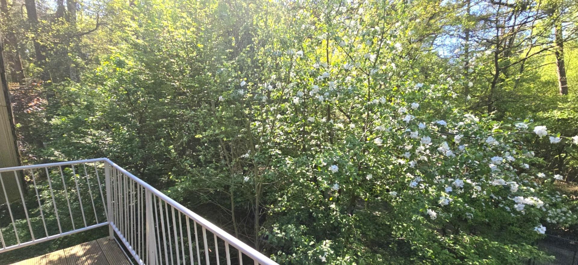 Balkon Ausblick Eigentum ;-)