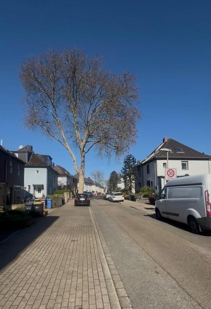 Umgebung