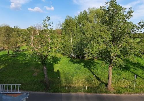 Blick vom Balkon nach Ost