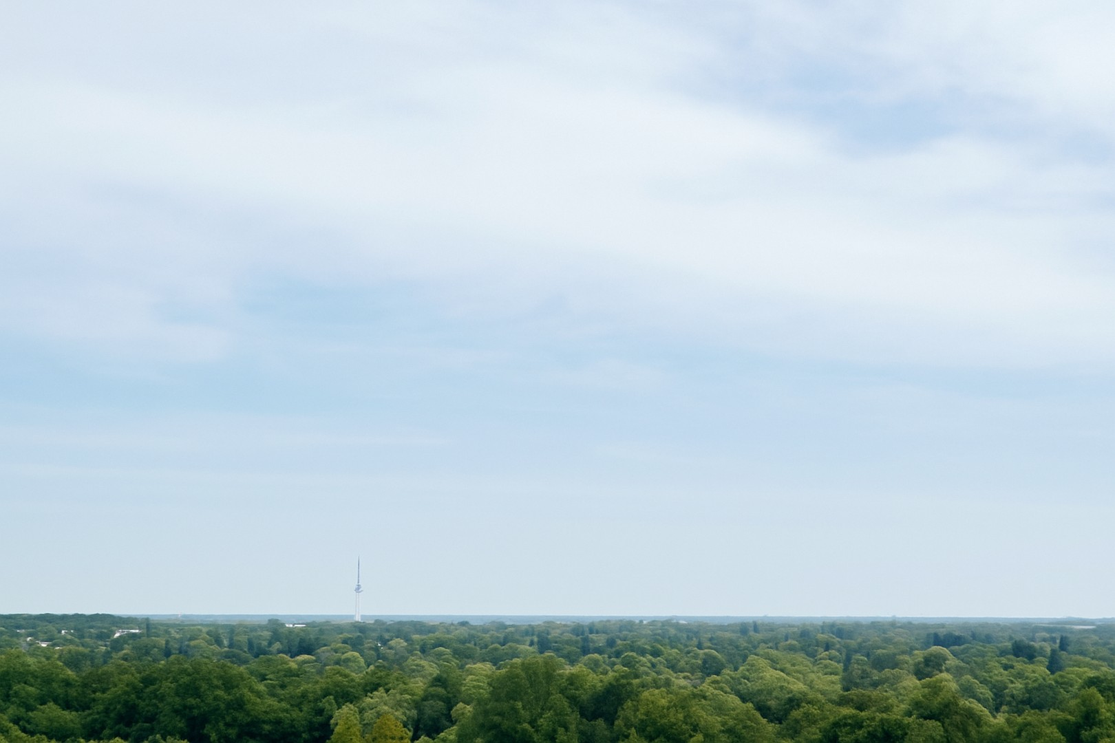 Ausblick