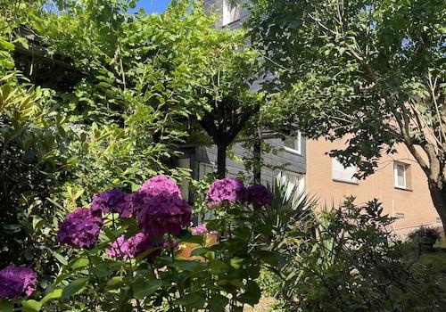 Sommerbild