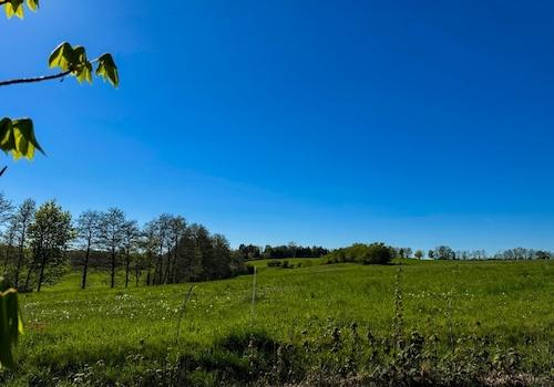 Gartensiedlung von Ost