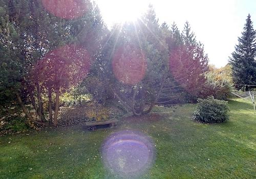 Blick in Garten