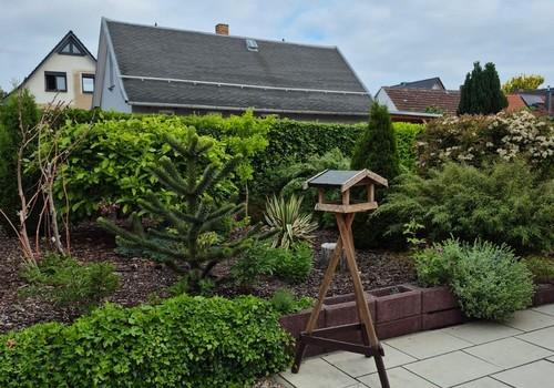 Blick in den Garten