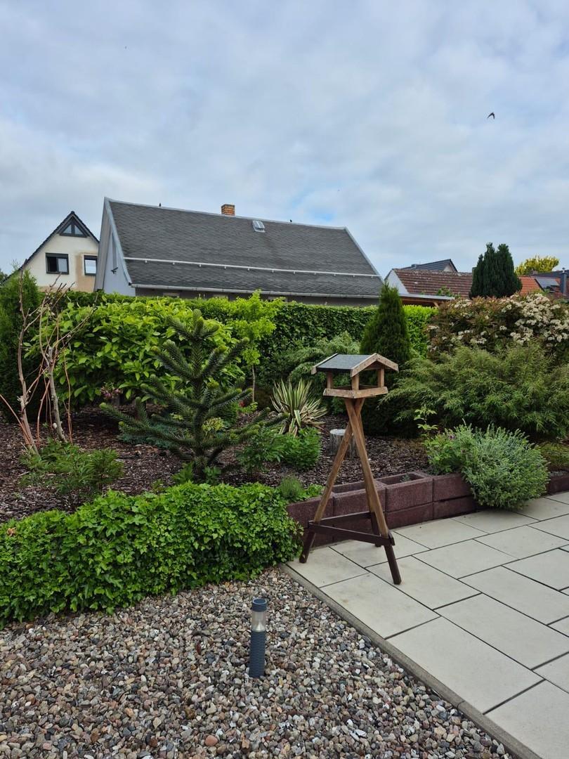 Blick in den Garten