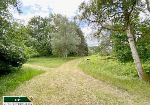Zuwegung zum großen Garten u. nahem Teich
