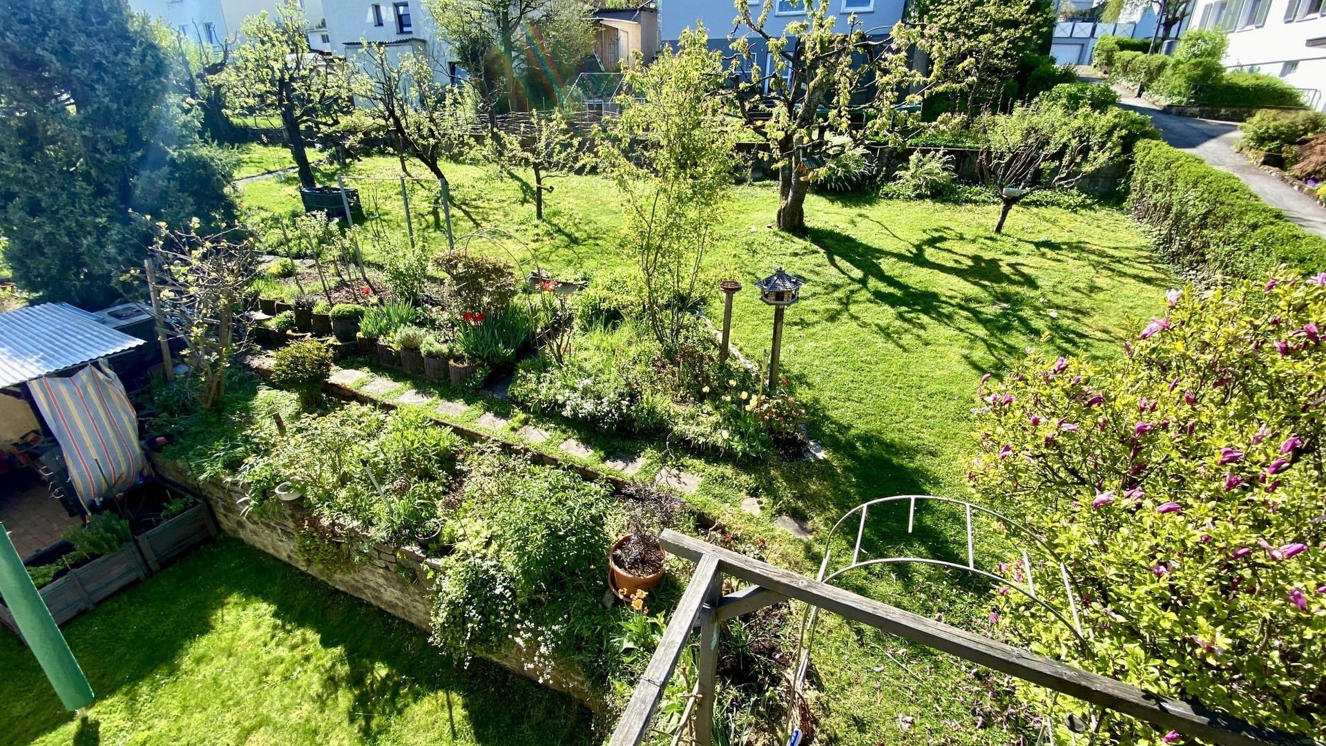 Ausblick Garten vom Balkon