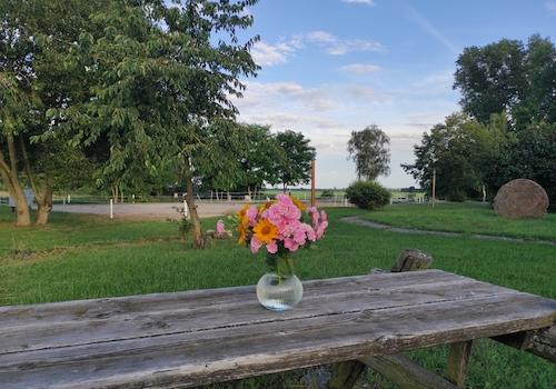 Ausblick Reitplatz