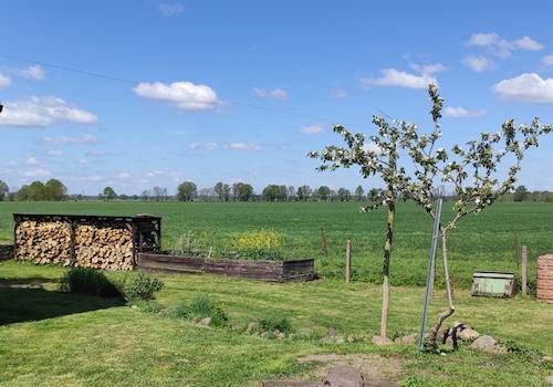 Weitblick