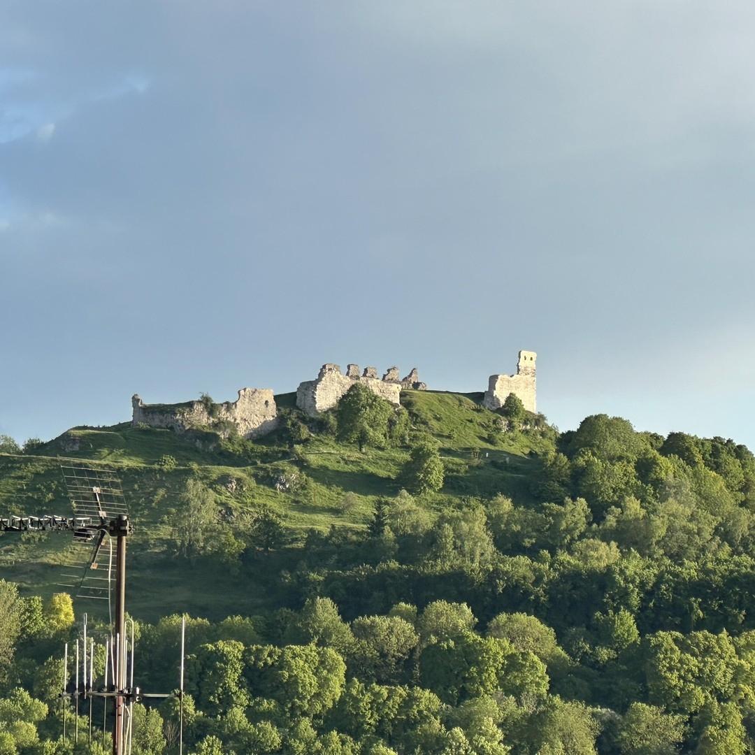 Blick zur Burgruine