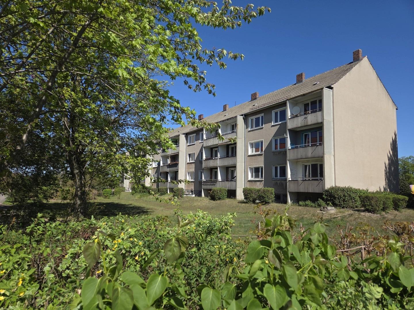 MFH Rückseite