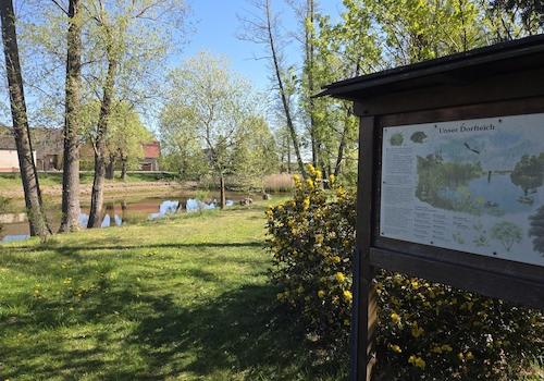 Dorfteich in Gemeindemitte