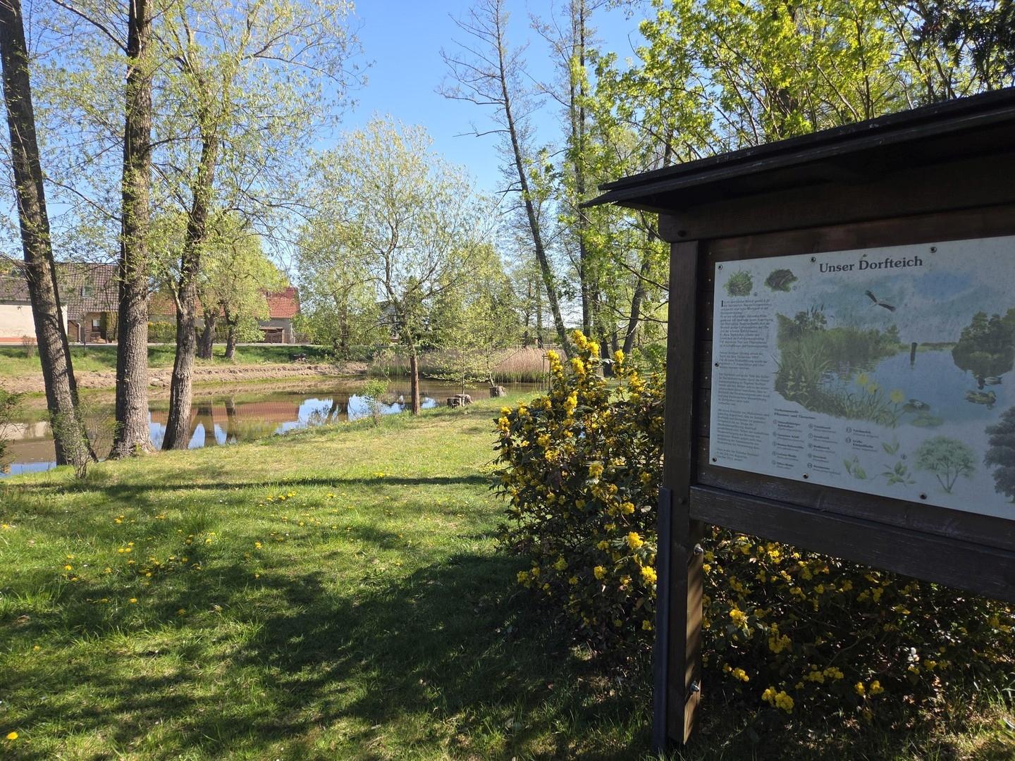 Dorfteich in Gemeindemitte