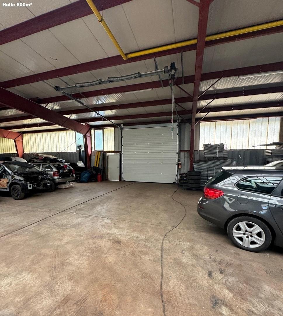 Halle 600m²