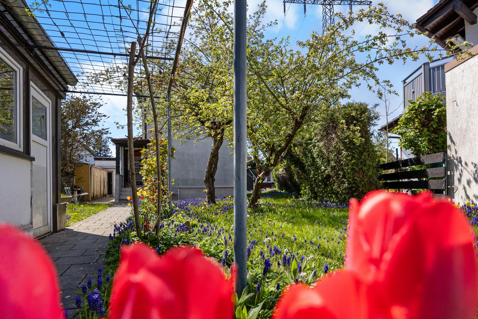 Grundstück