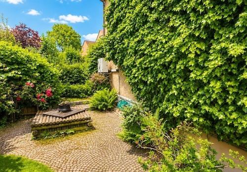 Eingewachsener Garten