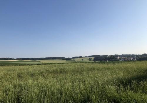 Nord - Ansicht aus Garten