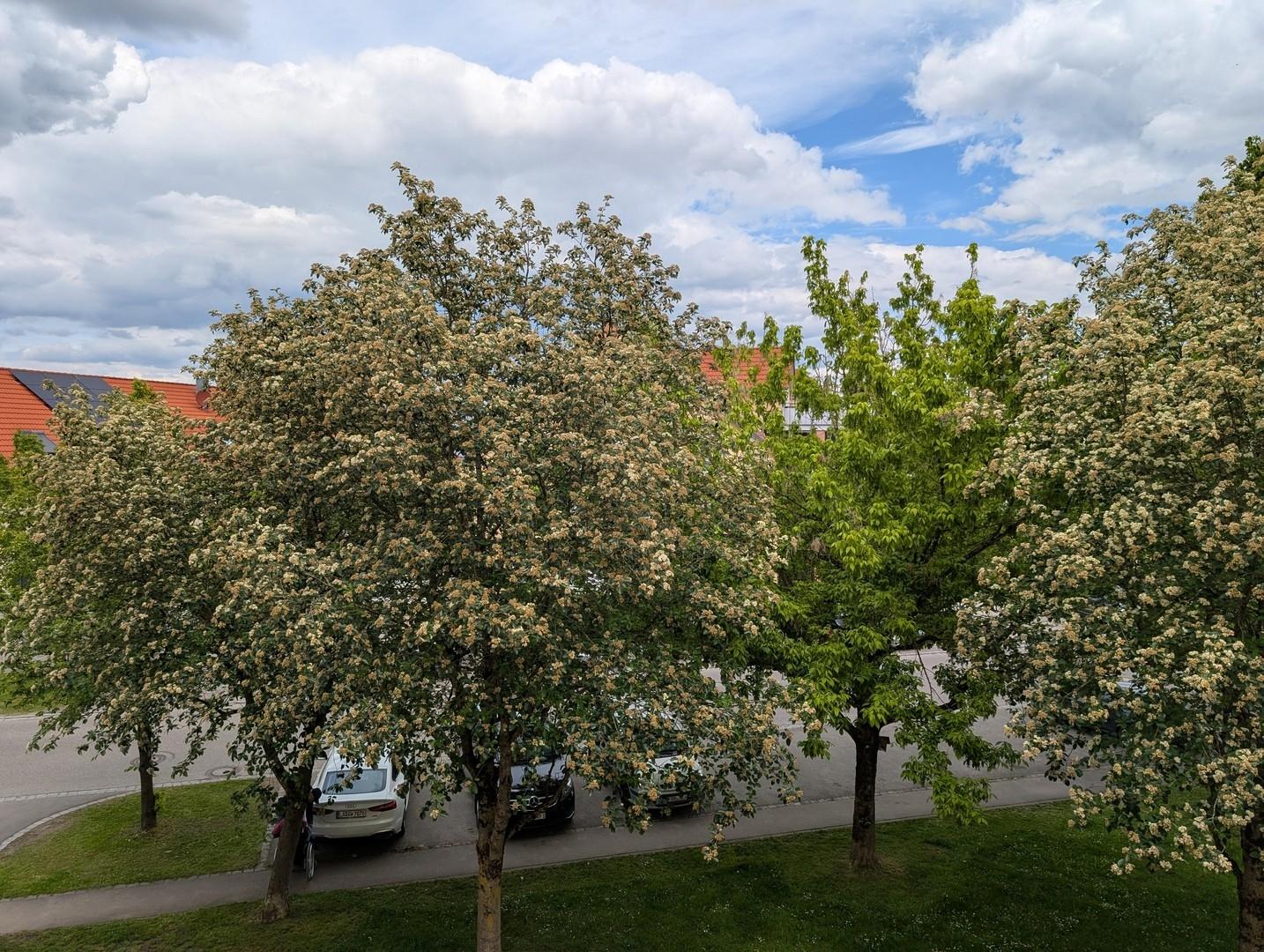 Blick: Schlafzimmer