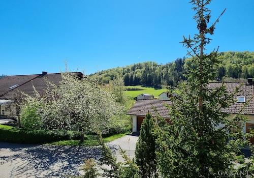 Aussicht vom Balkon EG