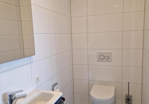 Ansicht GästeWC mit Dusche 3