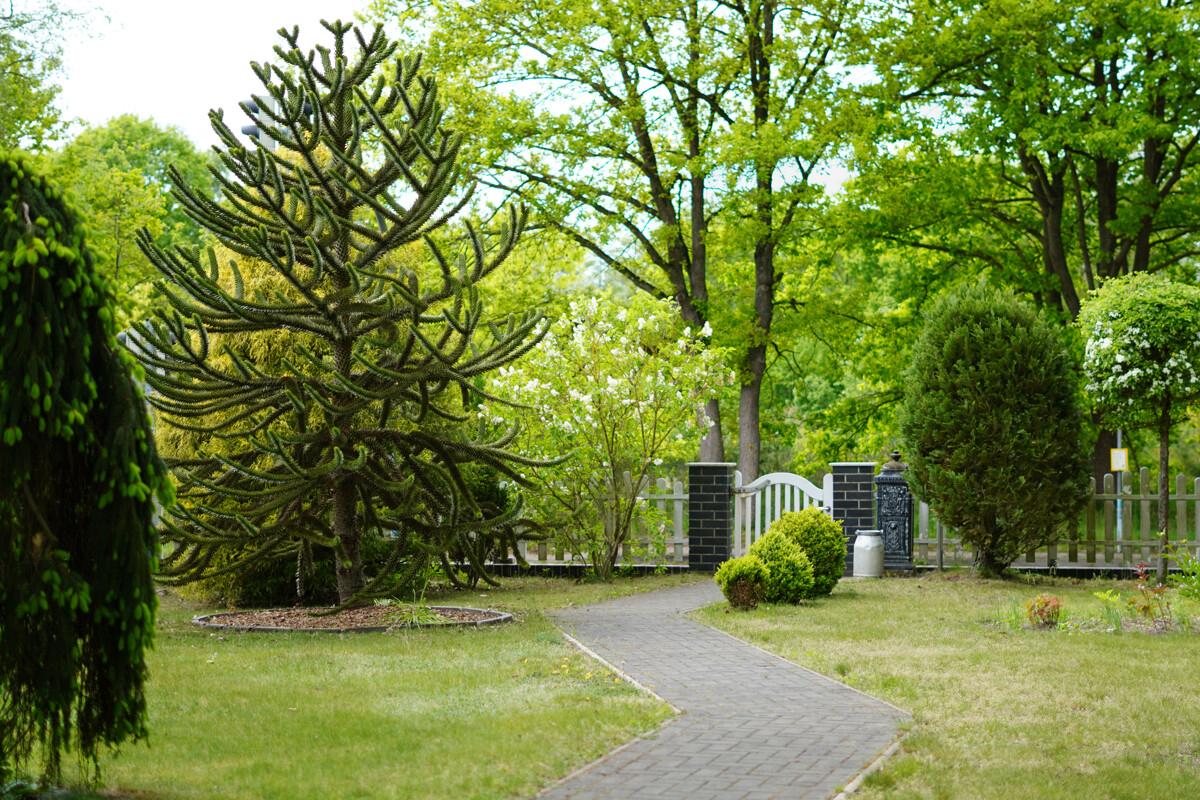 Garten