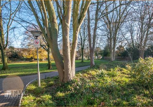Park hinter dem Haus
