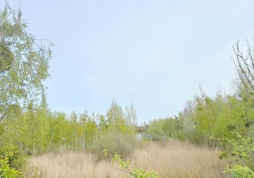 Park direkt vor der Tür
