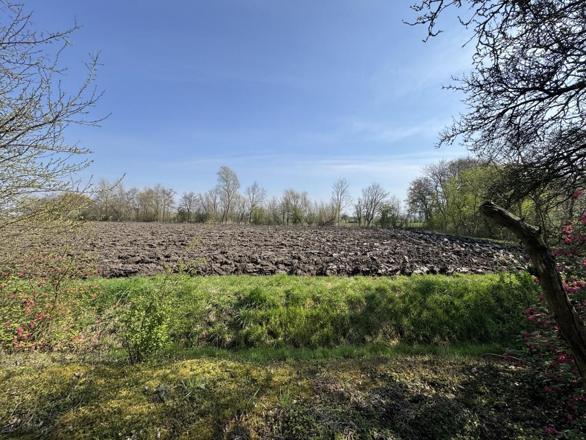 Ansicht aufs Feld