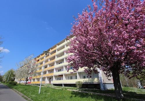 IMG_7367