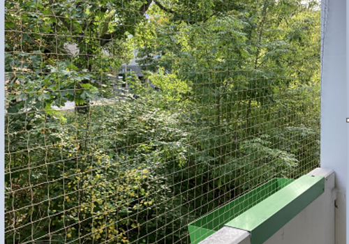 Balkon (Muster)