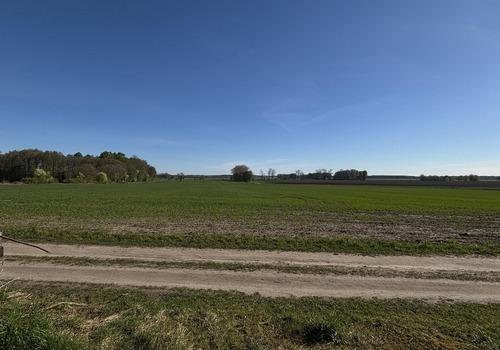 Ausblick