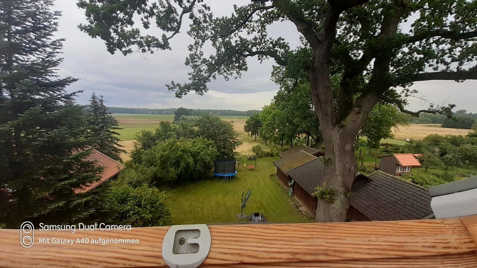 Blick auf den Hof 