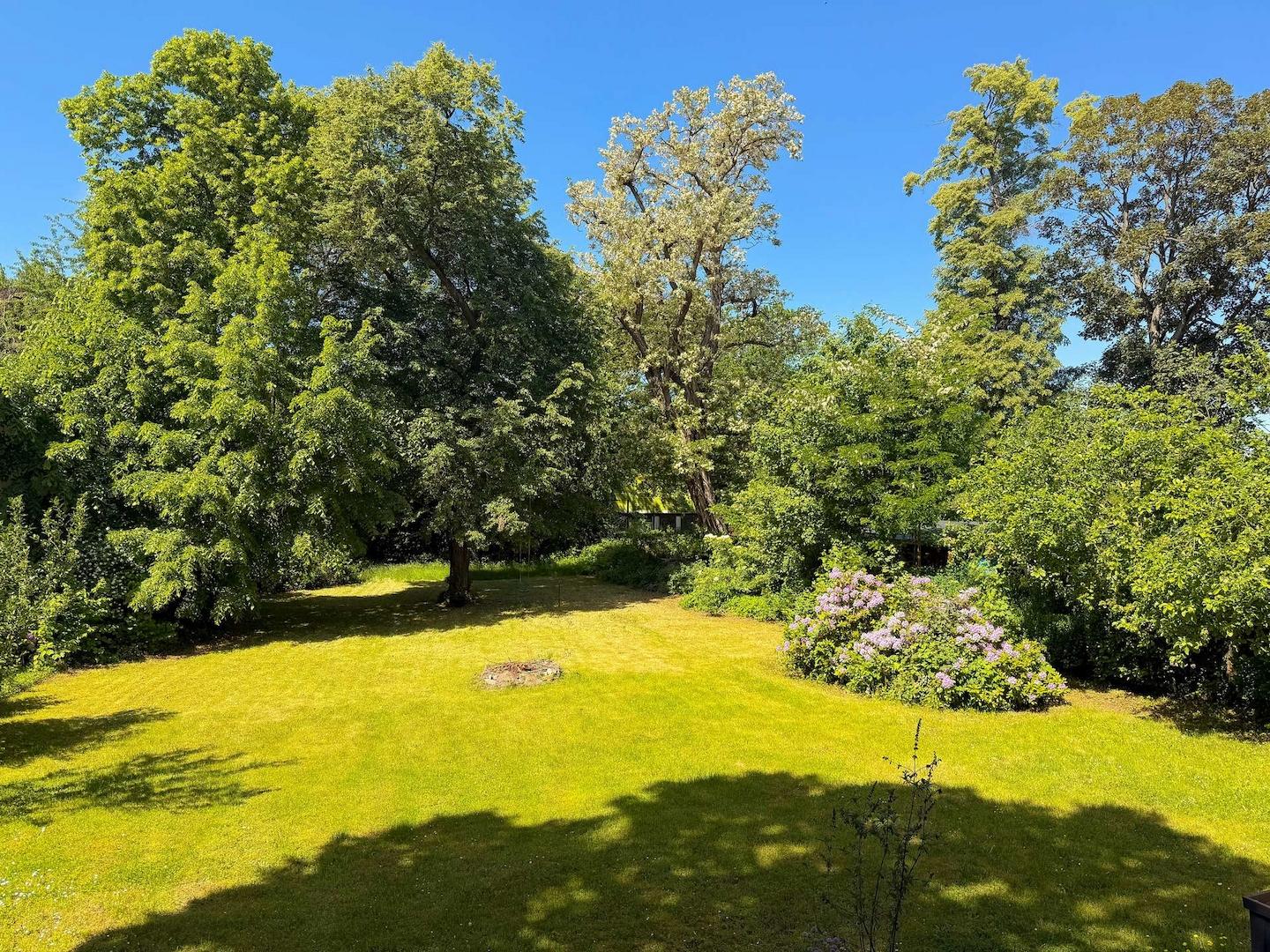 Blick in den Garten