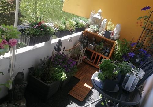 Süd-Balkon