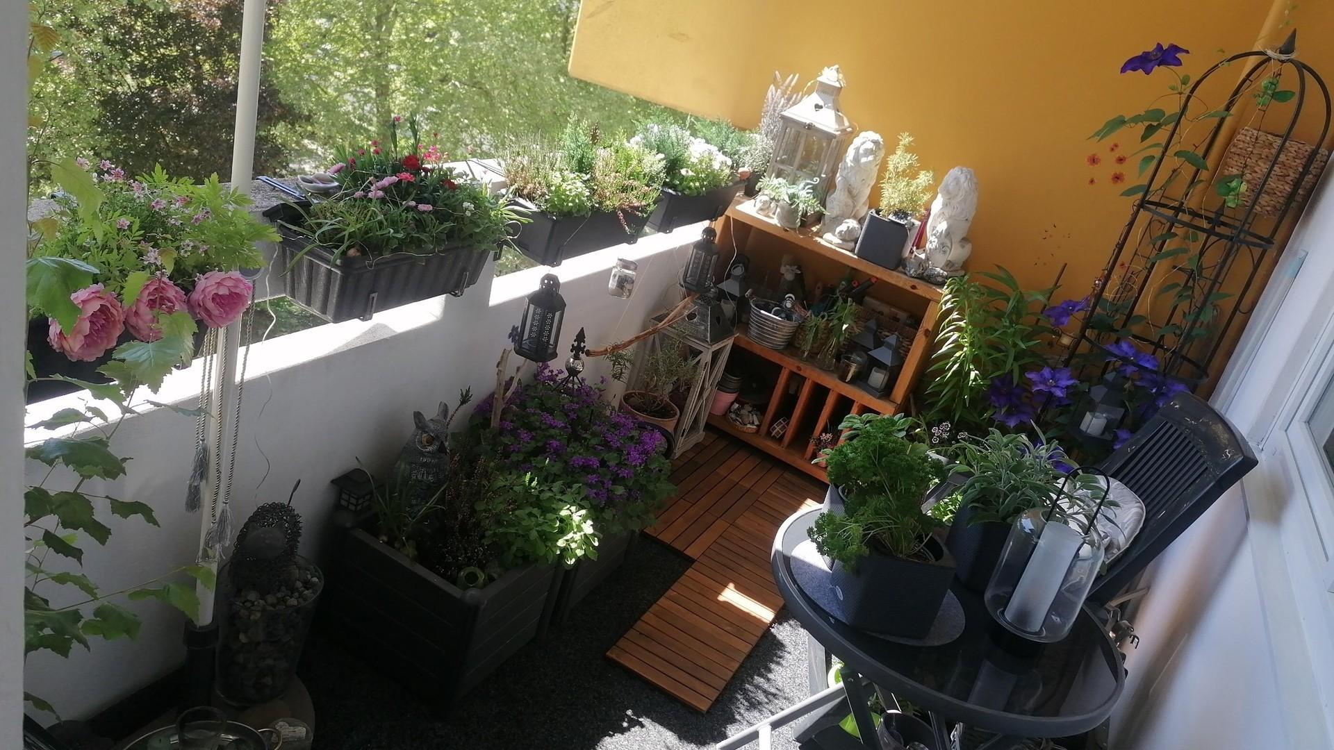 Süd-Balkon
