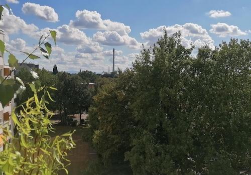 Blick vom Balkon Richtung Harz