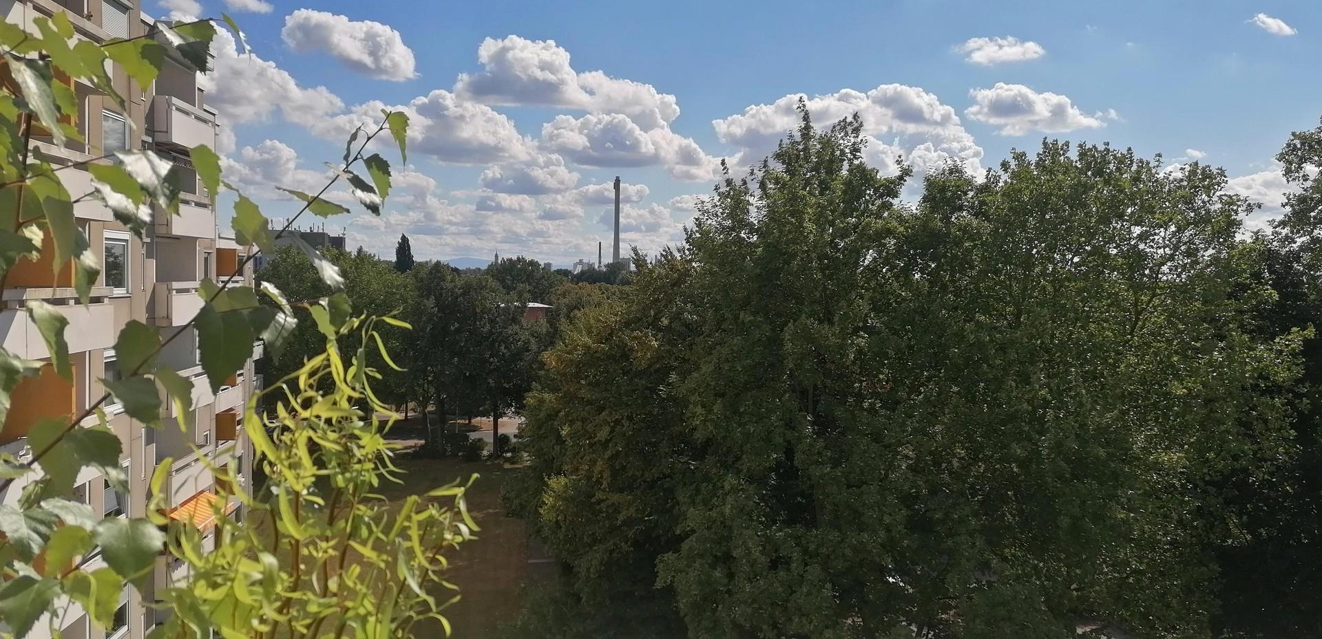 Blick vom Balkon Richtung Harz