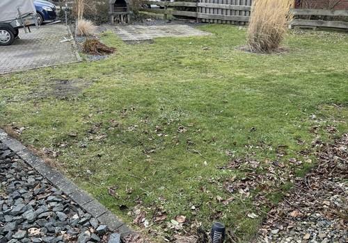 Garten inkl. Steingrill
