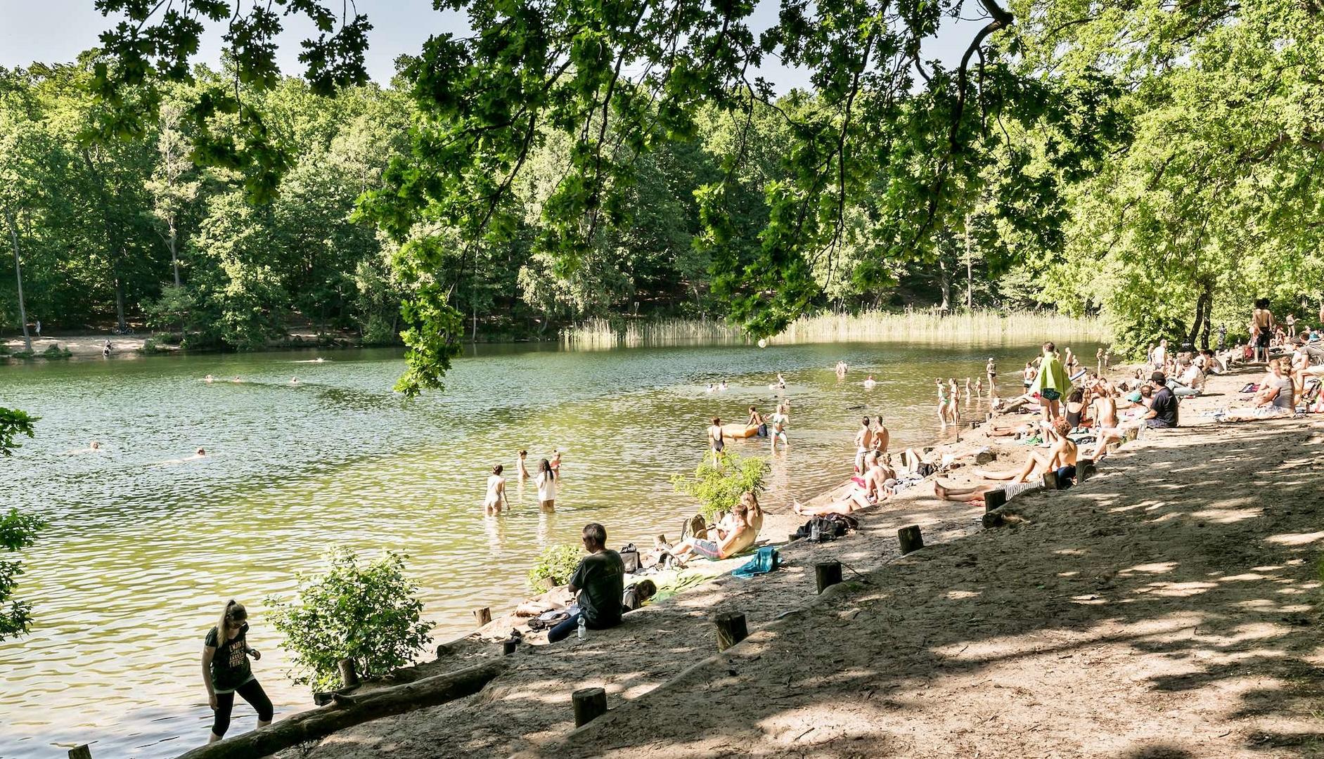 Architektonisches Unikat: Luxuriöse Altbauvilla mit Einliegerwohnung & Salzwasseraußenpool – 14169 Berlin – Vorschaubild 23